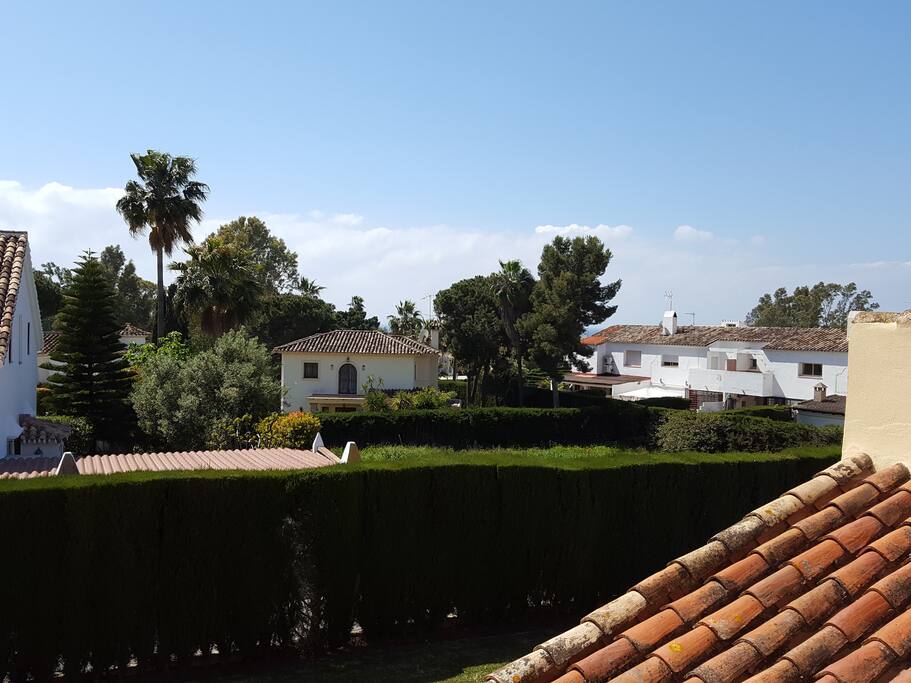 View from the terrace