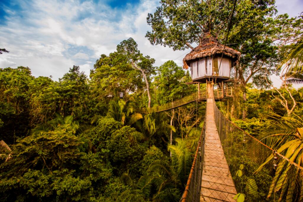 Treehouse Exterior