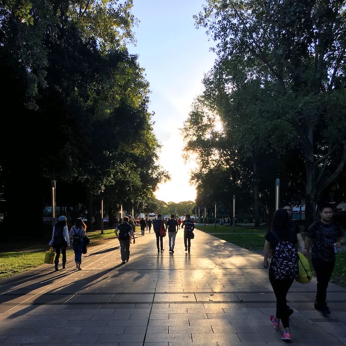 UNSW campus