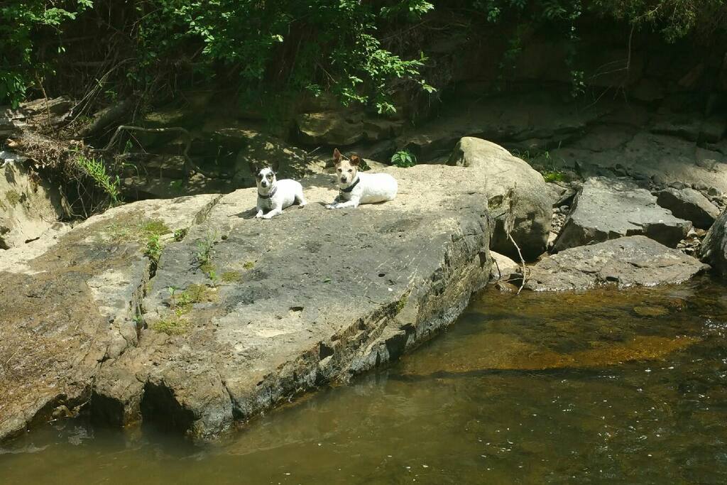 Sun bathing