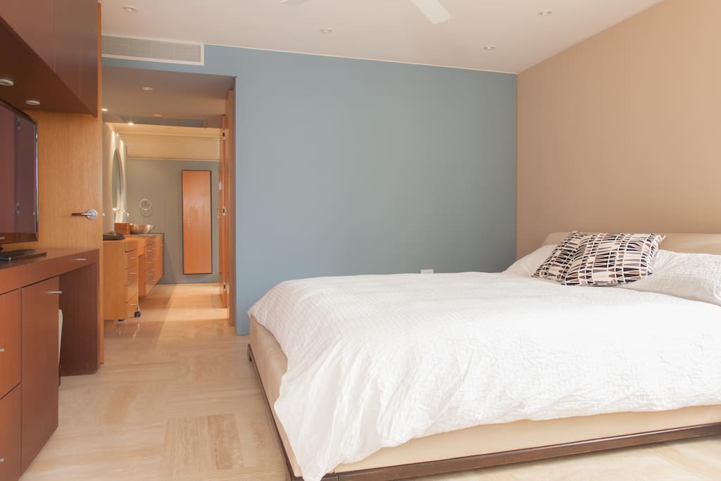 Master Bedroom with Bathroom View