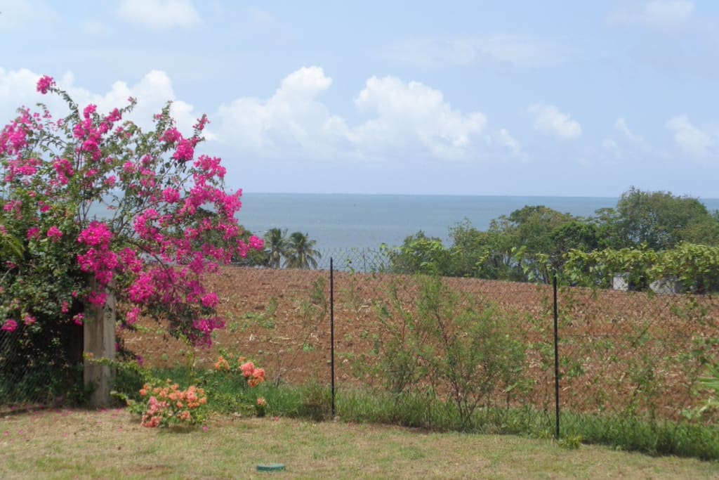 Vue jardin & mer