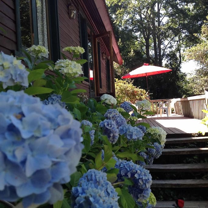 Surranuded by flowers...
