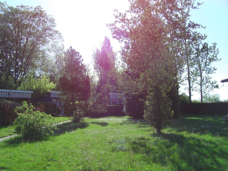 Wilder Garten
