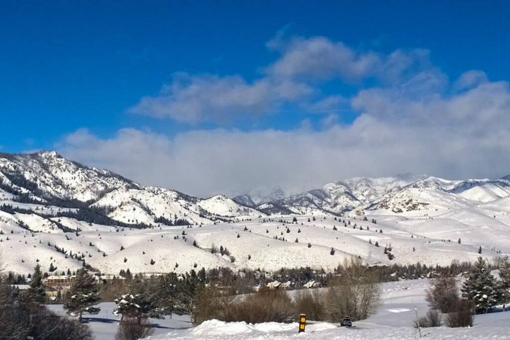 Beautiful Year Round!