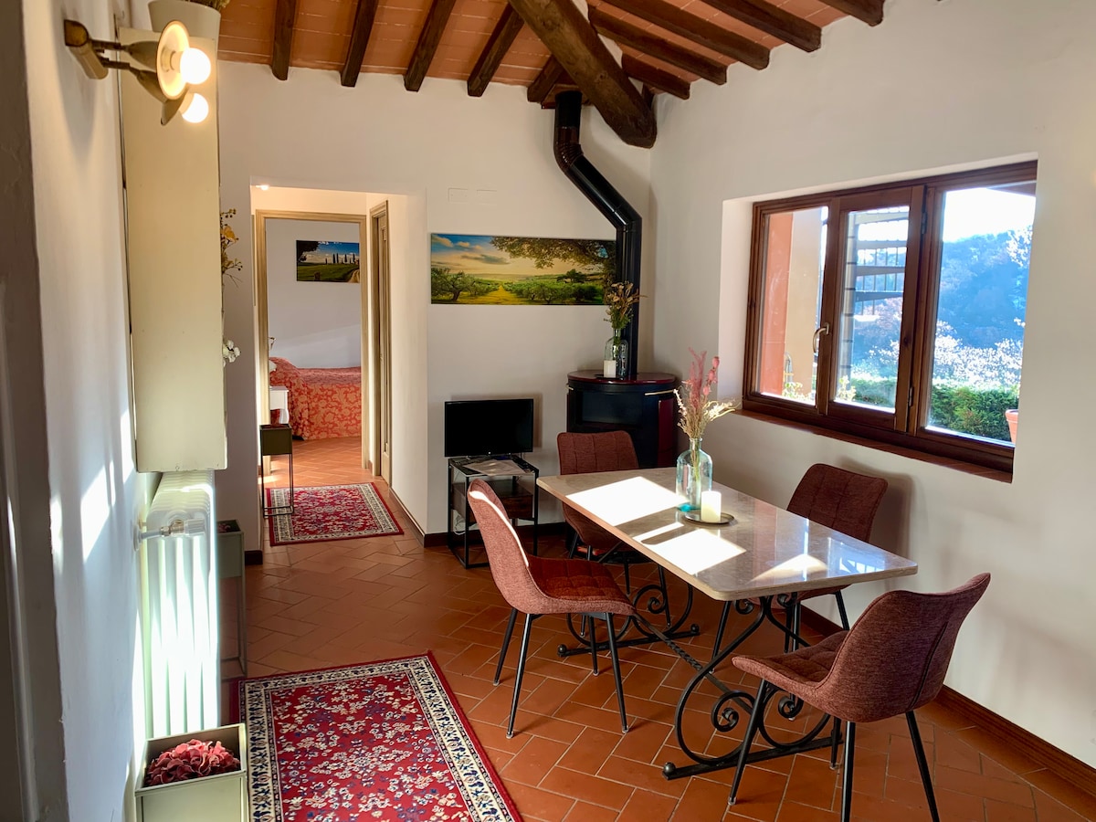 Top Airbnb: Typical Tuscan country house in Greve In Chianti