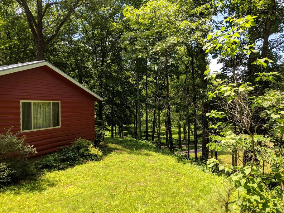 Side yard