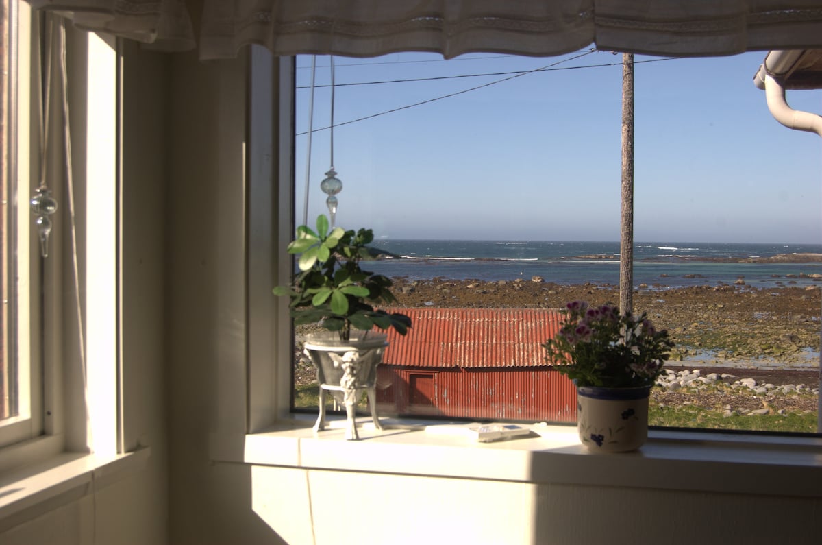 A window view reveals a coastal landscape with distant ocean waves. A small potted plant and flowers are positioned on the windowsill, complementing the scene. A red-roofed building can be seen in the foreground, framed by the clear blue sky.