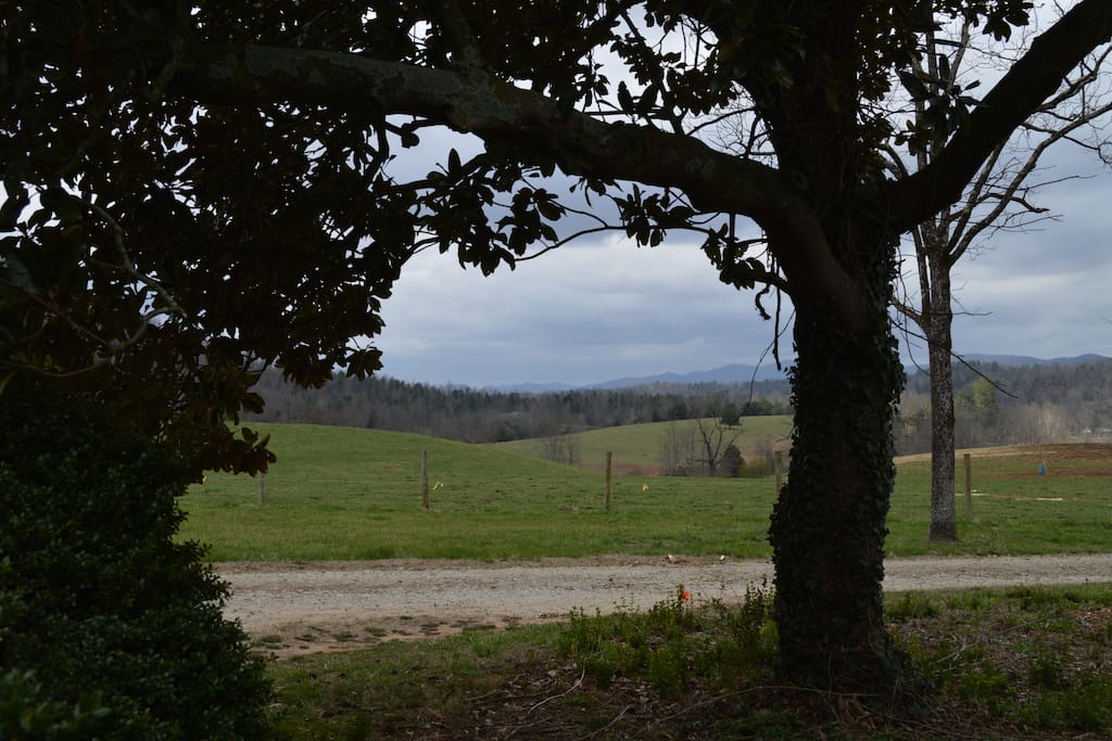 View from the front yard.
