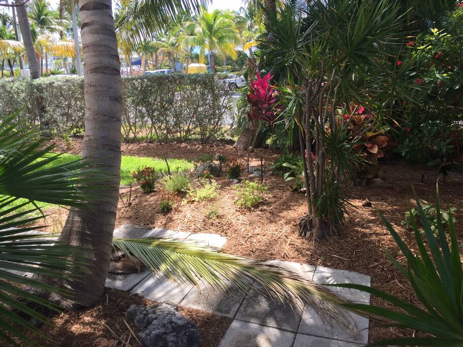 Tropical Garden