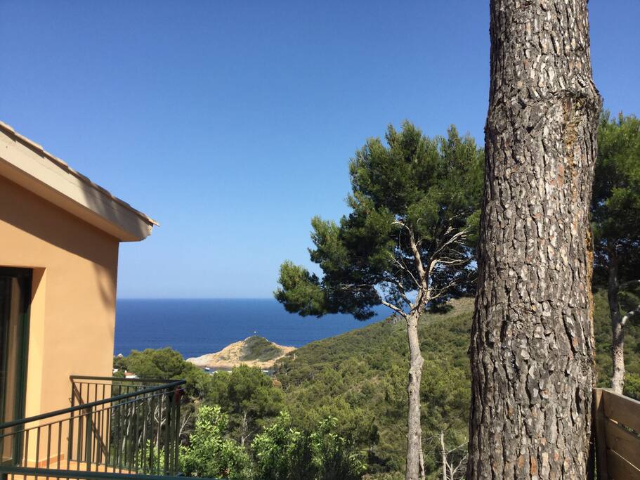 Vue de la terrasse extérieure