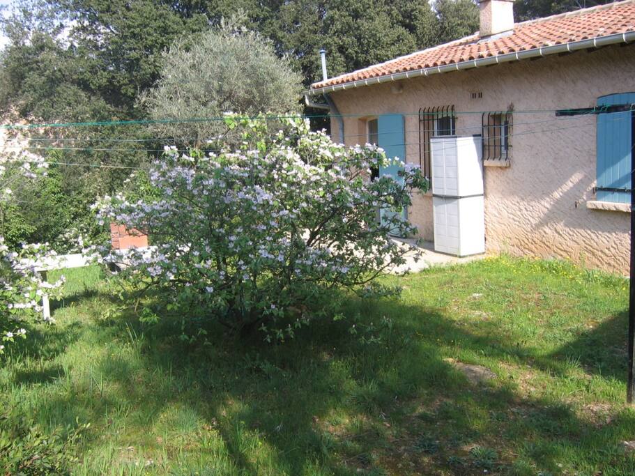 arrière de la maison