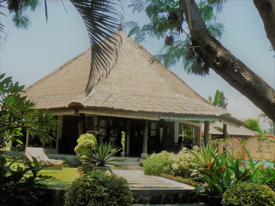 Garden and 5*8m pool