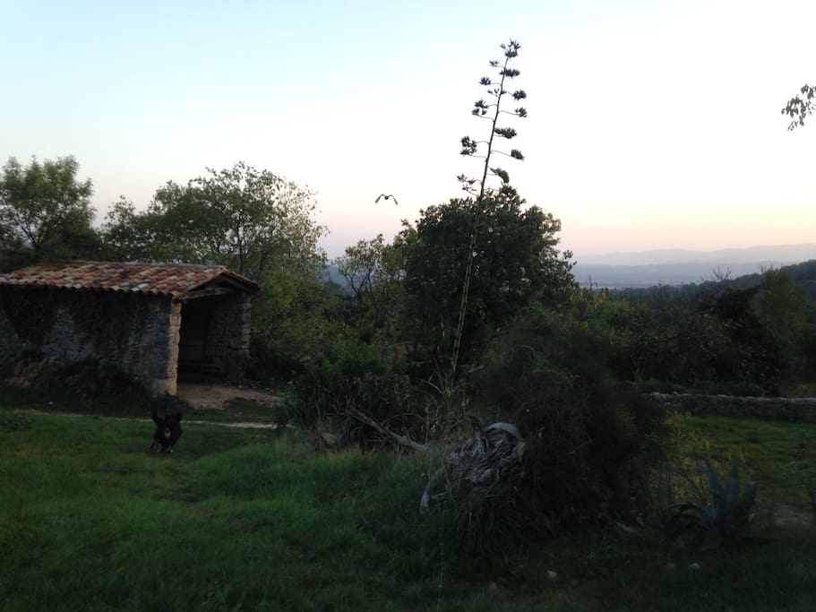 Exterior vista sur