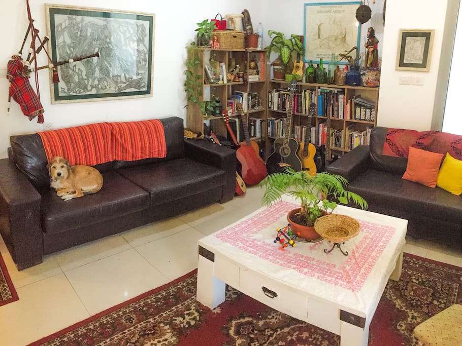 Living room - musical instruments, books and arts.