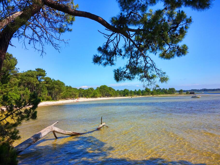 Le Lac et ses plages aux eaux cristallines.