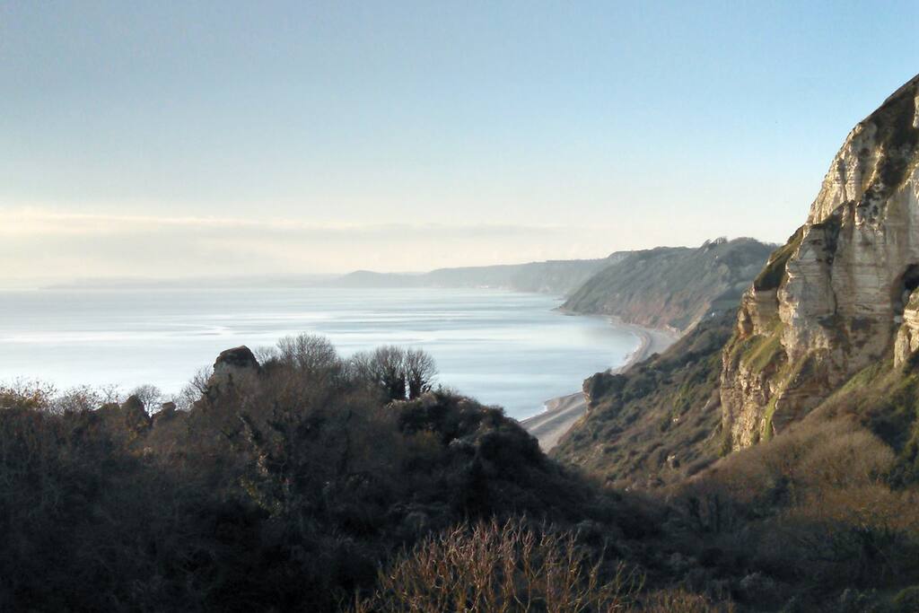 Jurassic coast walks