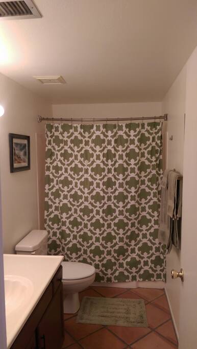 Hall bathroom. Across from the bathroom on the other side of the hall is a washer and dryer (not pictured).