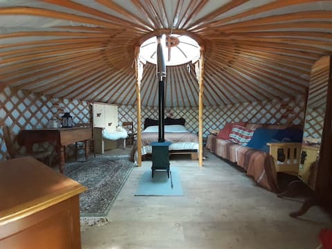 Secluded & Cosy Yurt in the Forest of Dean