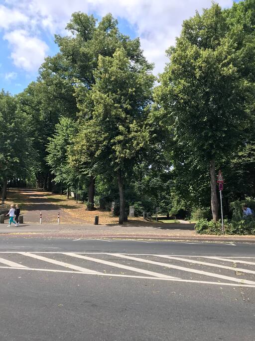 Direkt vor der Haustür befindet sich der Liebesgrund-Park
