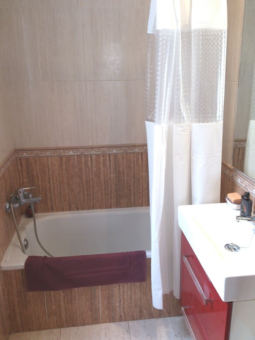 Lavabo privado con bañera.