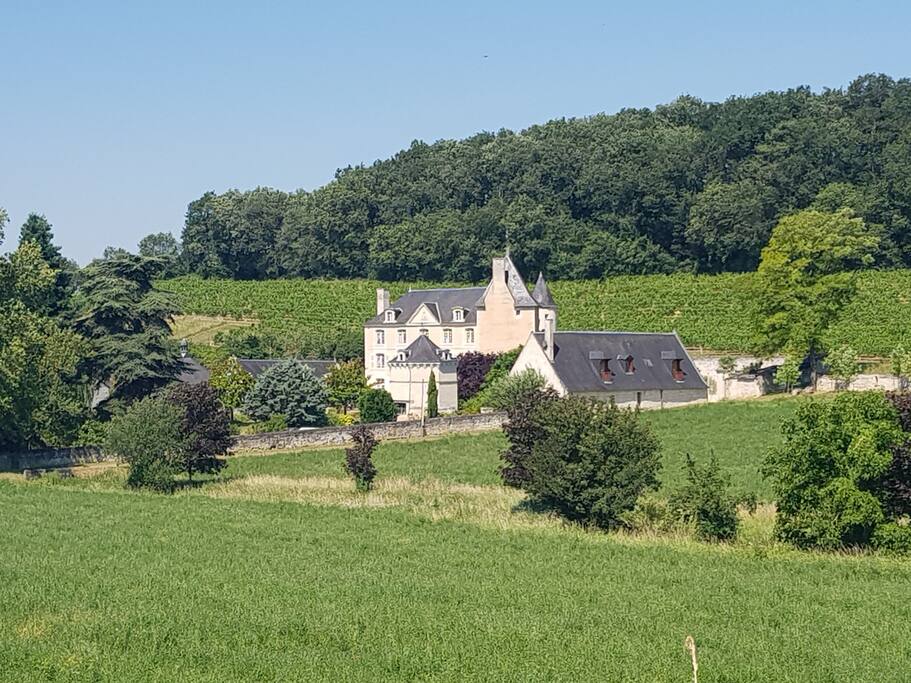 Chateau Pas de Loup
