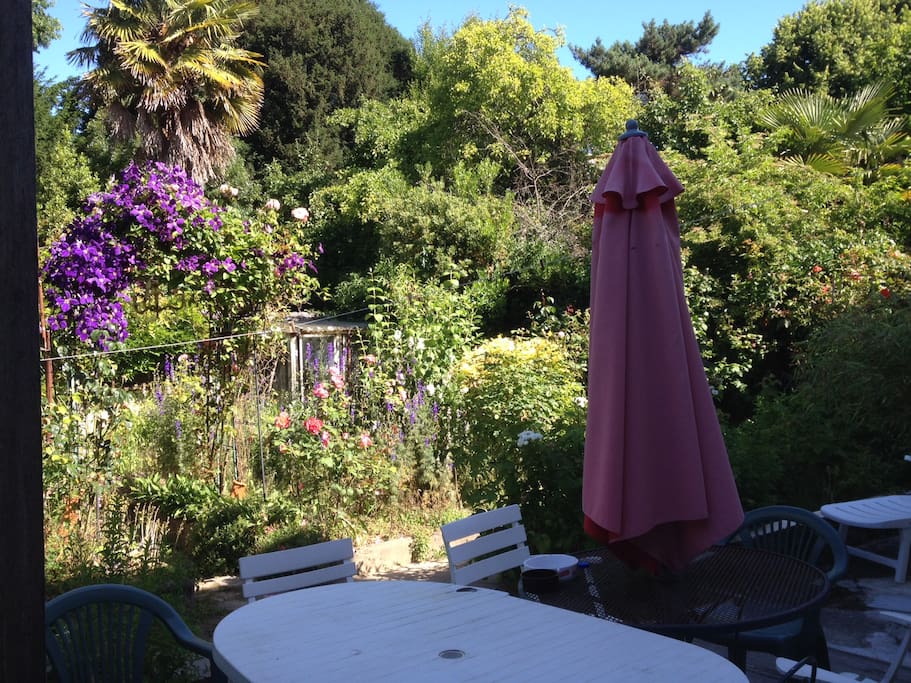 Jardin 3