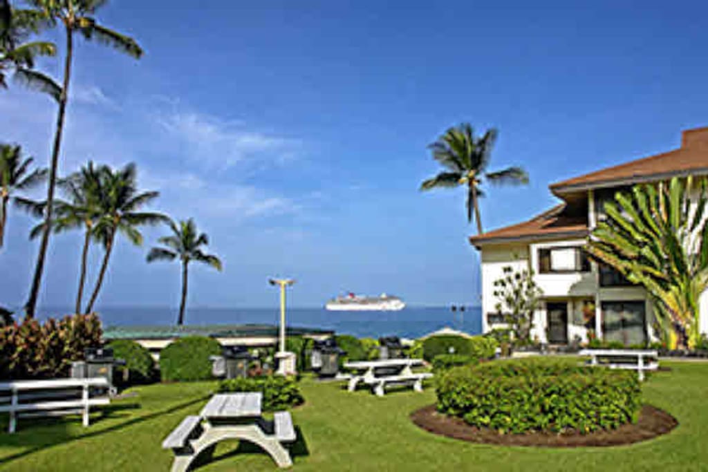 Hotel,Resort,Palm Tree,Tree,Building