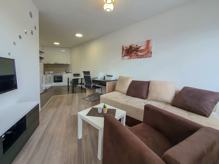 New Business Apt.11 City Center Wi-fi 100/100 Mbps - 斯科普里