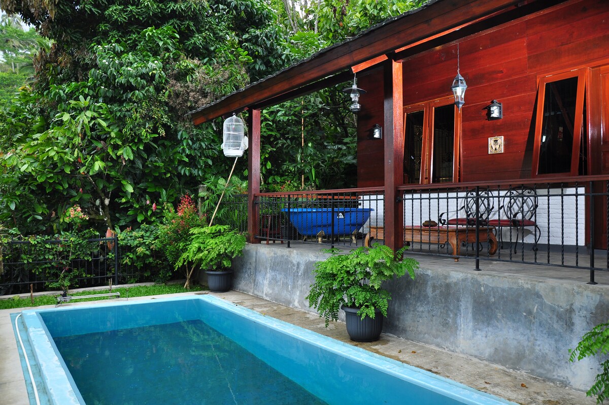 A tranquil outdoor area is presented with a rectangular pool bordered by lush greenery and potted plants. The lodge's wooden exterior and large windows invite natural light. Comfortable seating is seen on the porch, providing a serene view of the surrounding nature.
