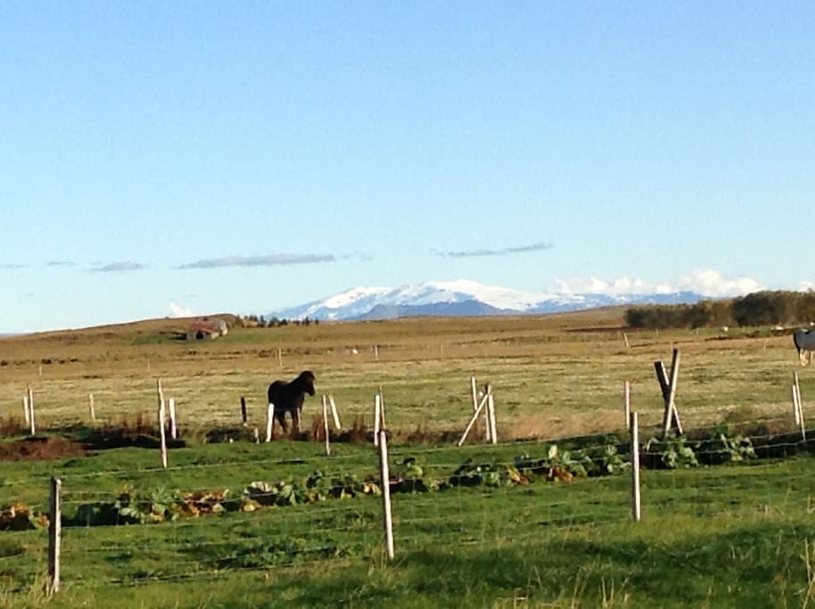 Eyjafjallajökull, the volcano