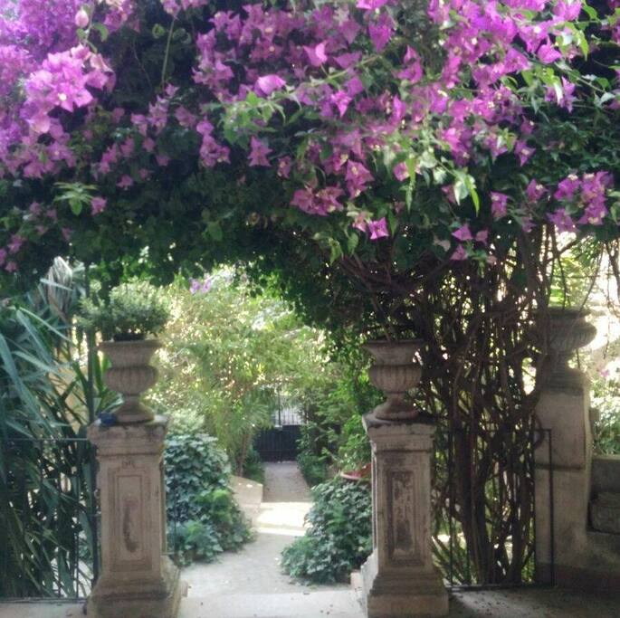 giardino