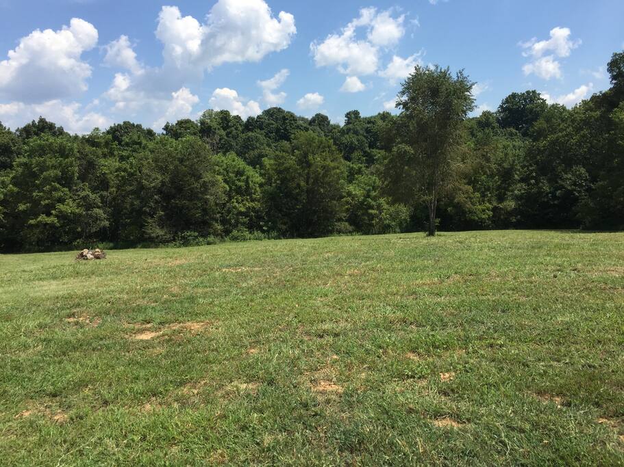 Back yard
