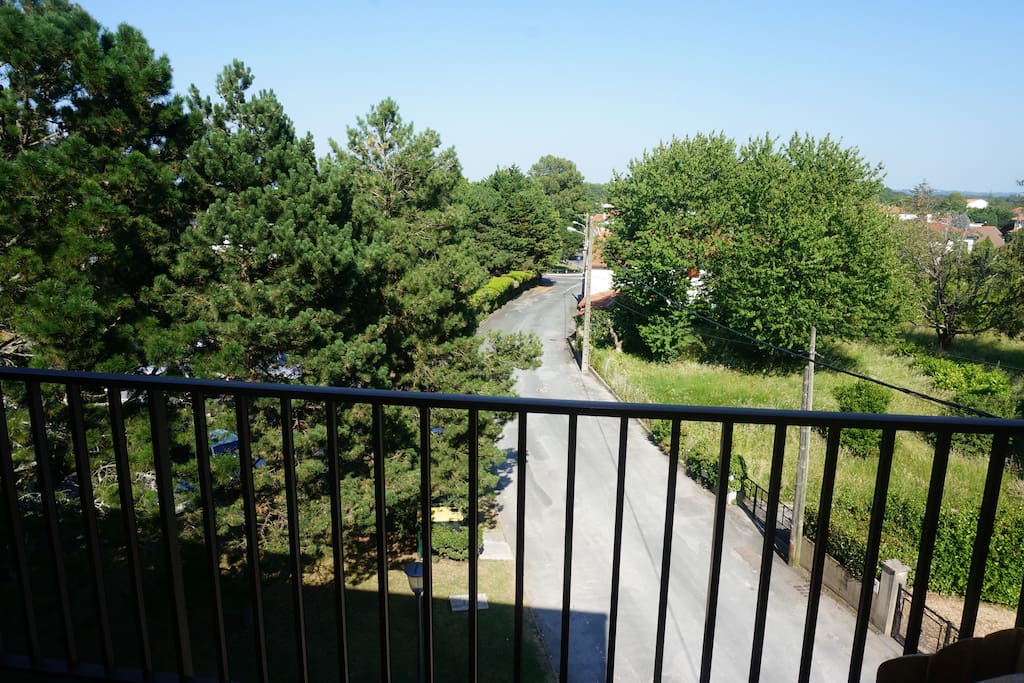 Vue sur parc