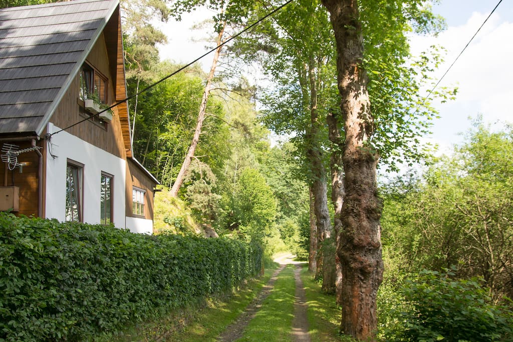 Cottage and dead-end road. summer 2017