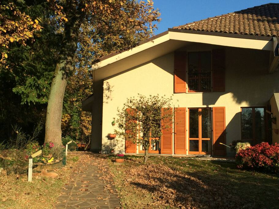 The house