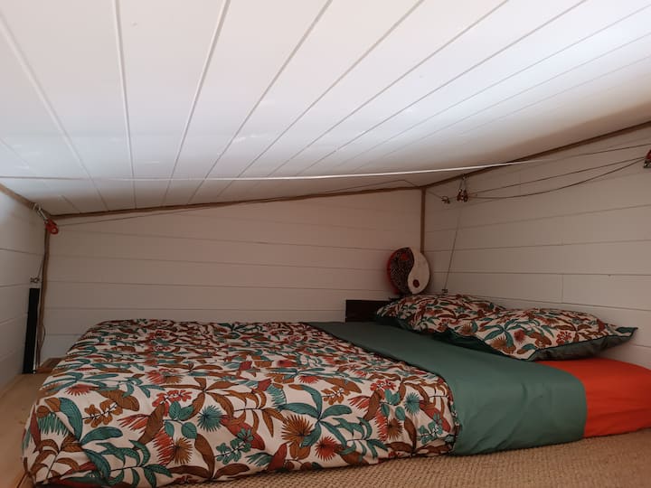 Habitación 1