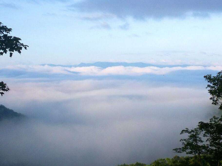 View from the deck one morning!
