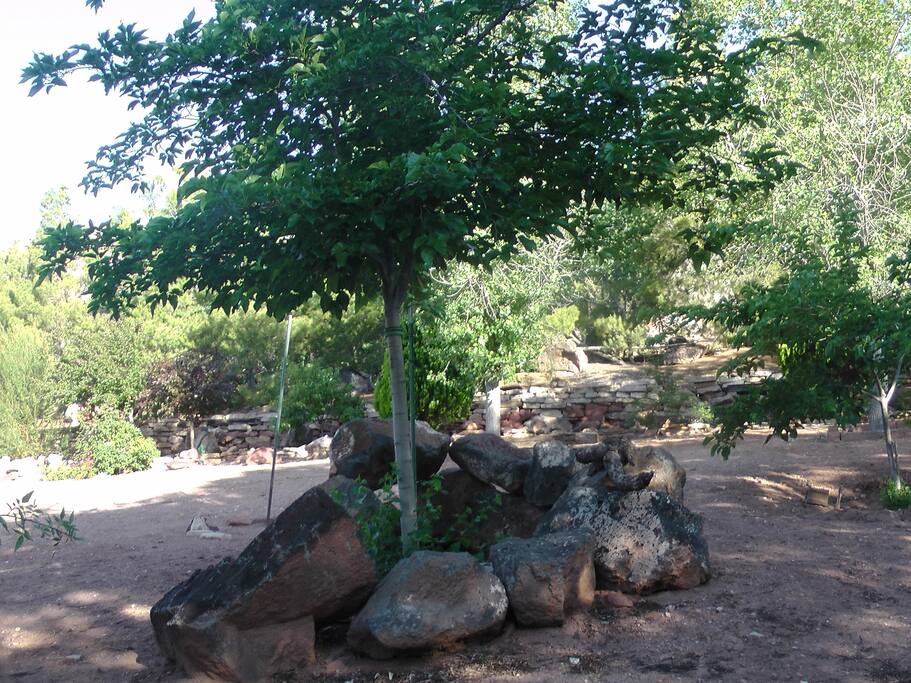 A relaxing shaded area to wander about or sit for a while in the lawn swing (not pictured).