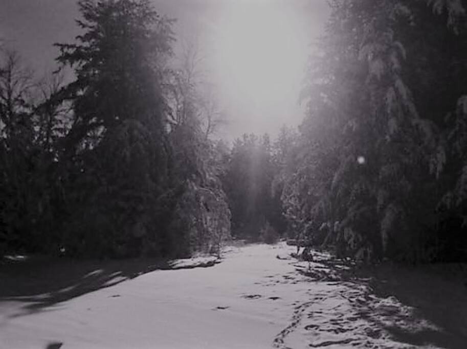 blaze you own path create you own adventure