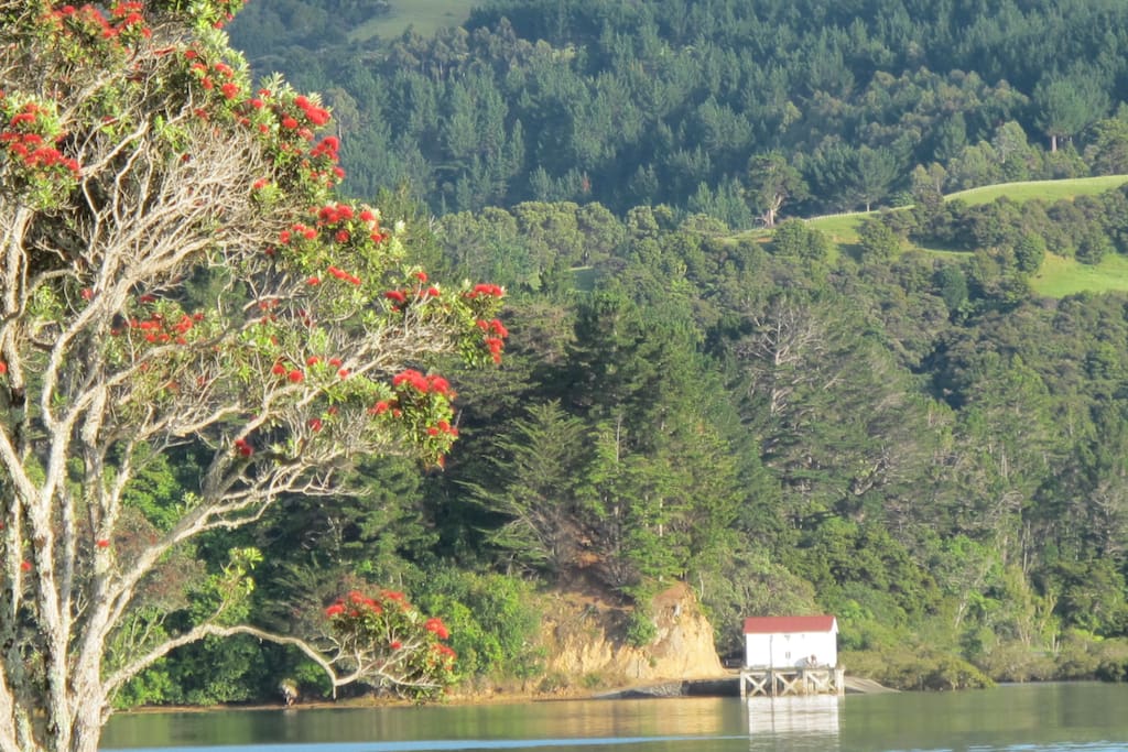 The waterfront reserve is beautiful no matter what the tide, summer and winter.