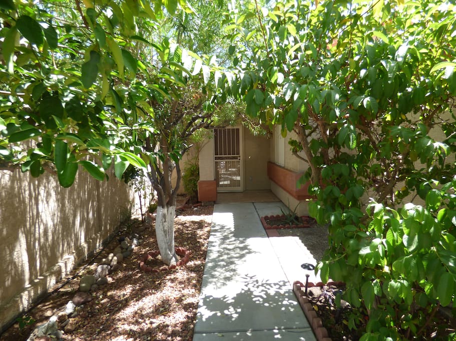 Walkway to the front door