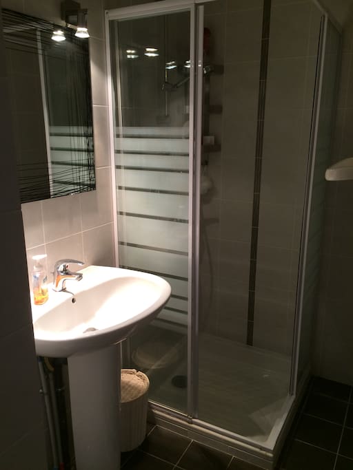 Private shower room with private WC in the next room