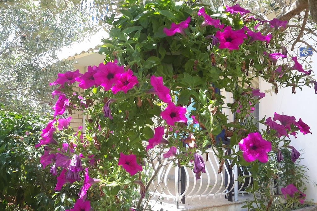 courtyard