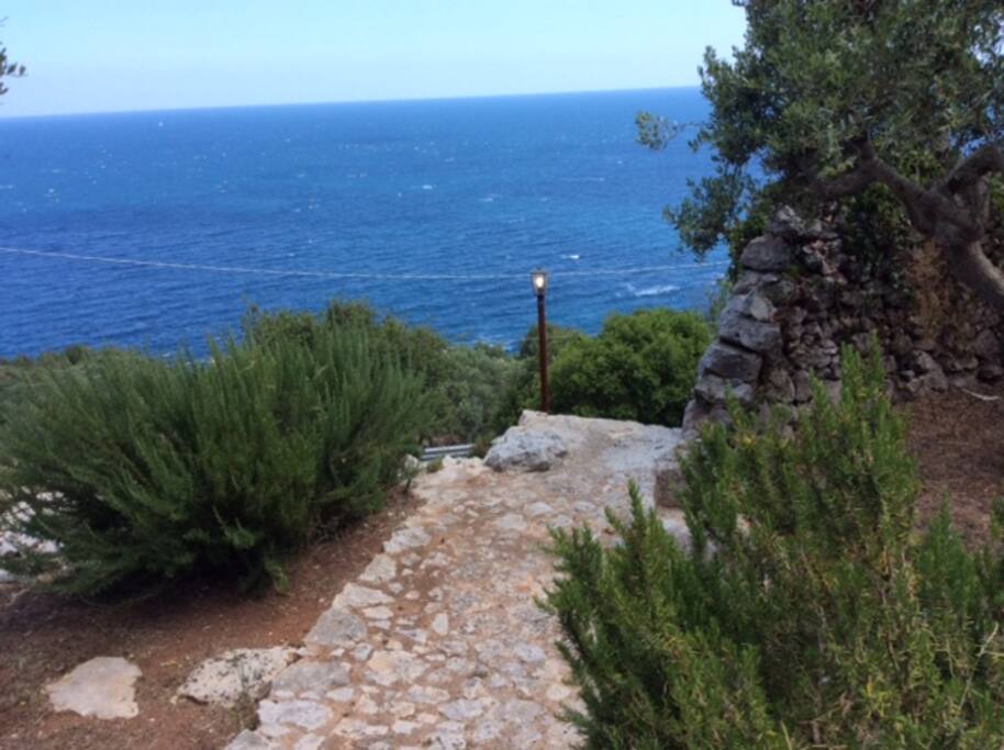 vista lungo il percorso privato verso la casa