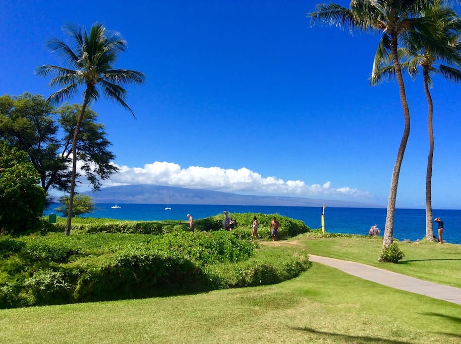 WALK TO KA'ANAPALI N BCH