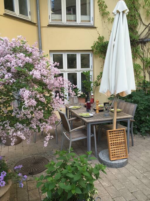 Dining outside in the yard