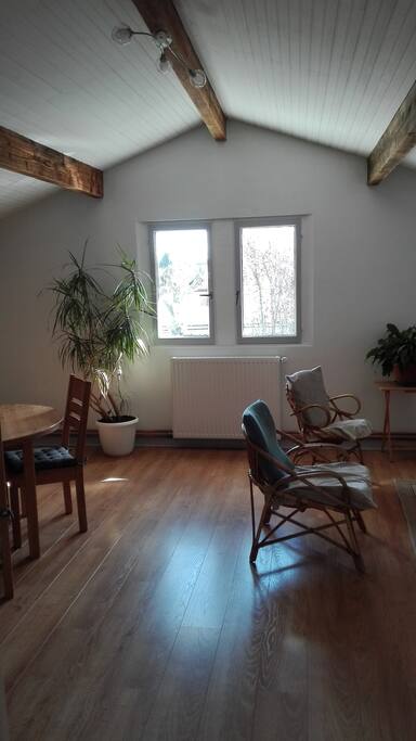 studio sous les combles