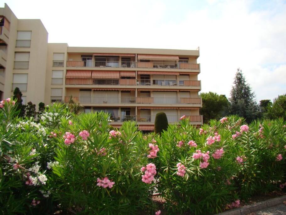 L'appartement au dernier étage