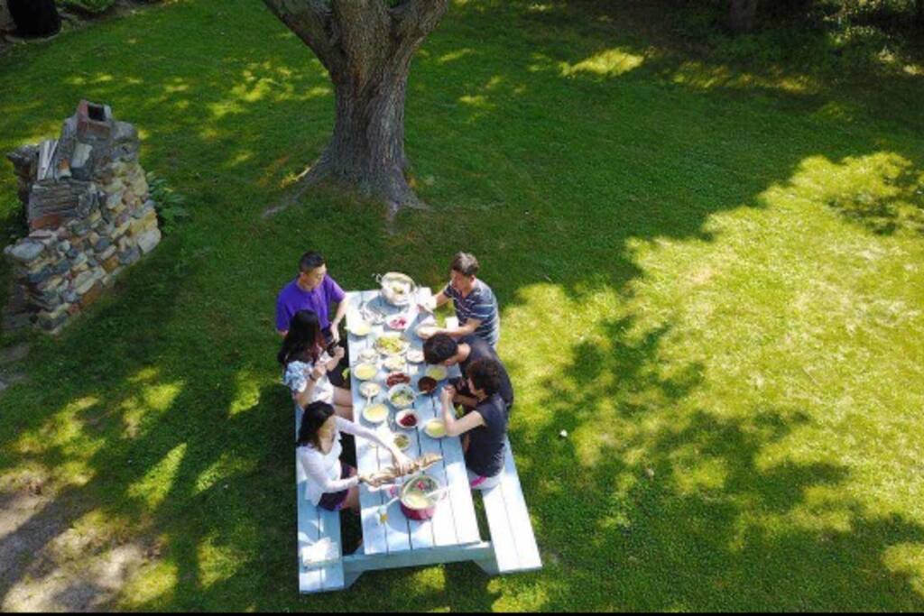 A group of guests enjoying breakfast in the backyard.